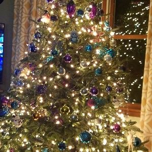 Meet your Posher, Ginger